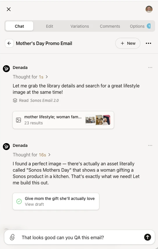 The Right Panel with the Chat tab open, plus Edit, Variations, Comments and Options tabs